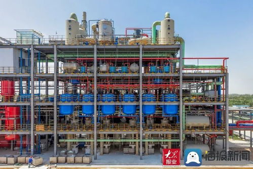 申請國家專利26項 成武縣晨暉環保科技公司產品總量占國內的70