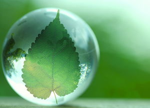 十三五環(huán)保科技點(diǎn)將專項(xiàng) 推動(dòng)行業(yè)實(shí)現(xiàn)全方位跨越